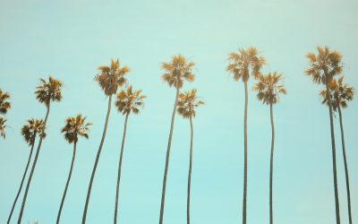 California, Here We Come!